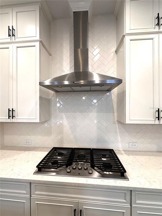 Gas Cooktop with Vent Hood