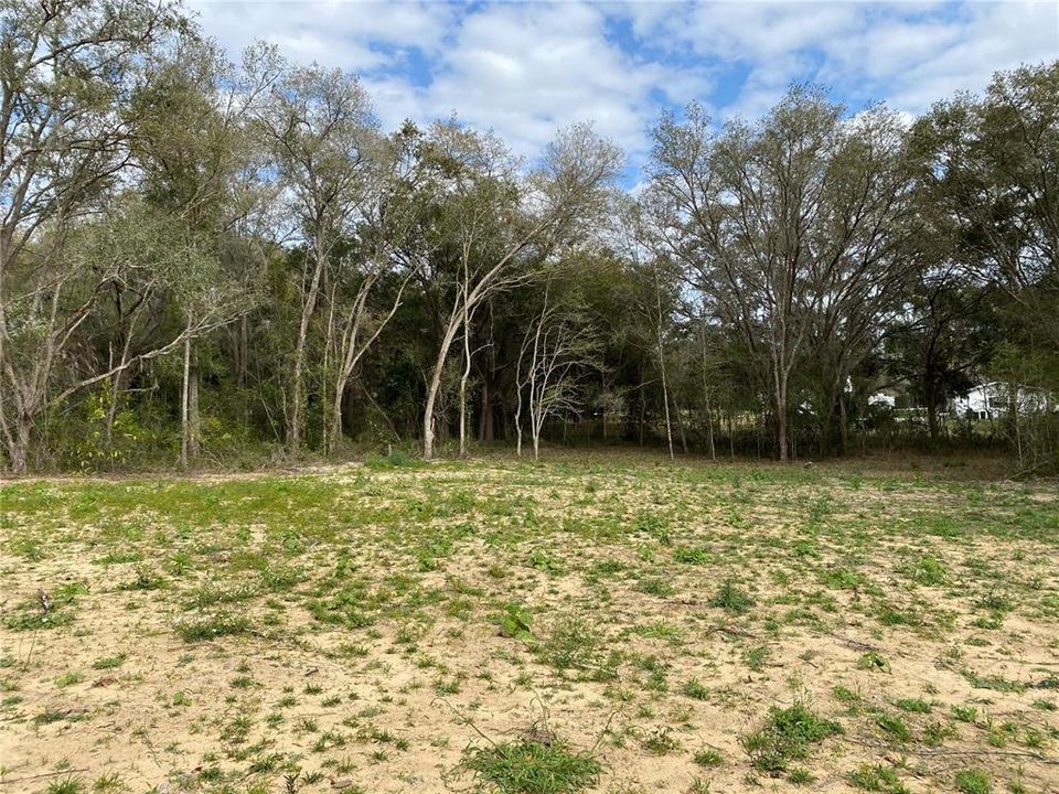For Sale: $80,000 (1.84 acres)