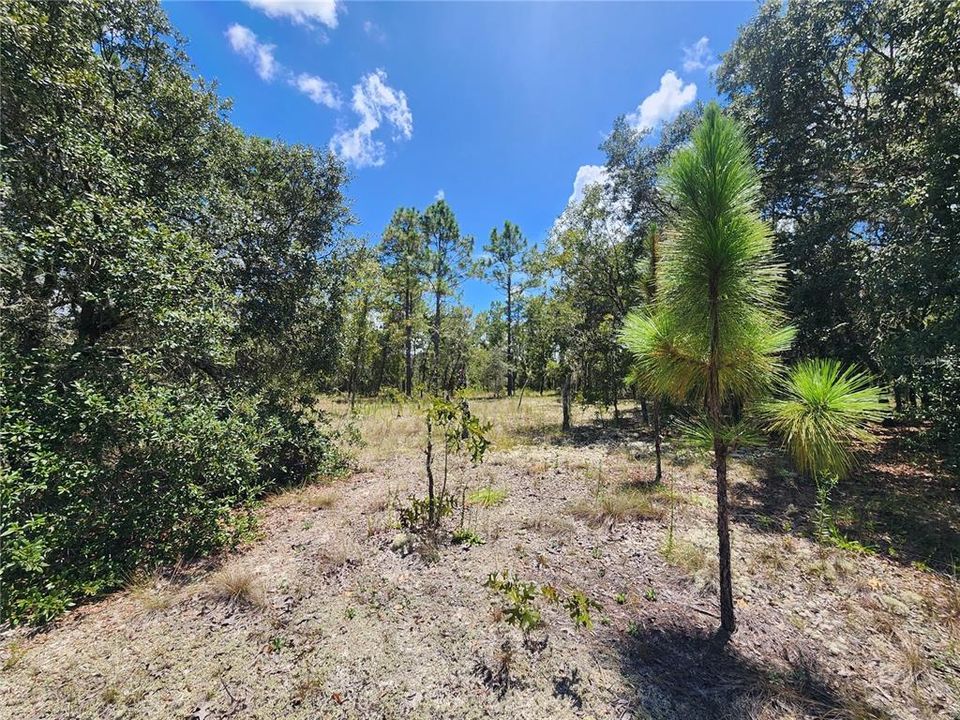 Vendido Recientemente: $50,000 (2.00 acres)