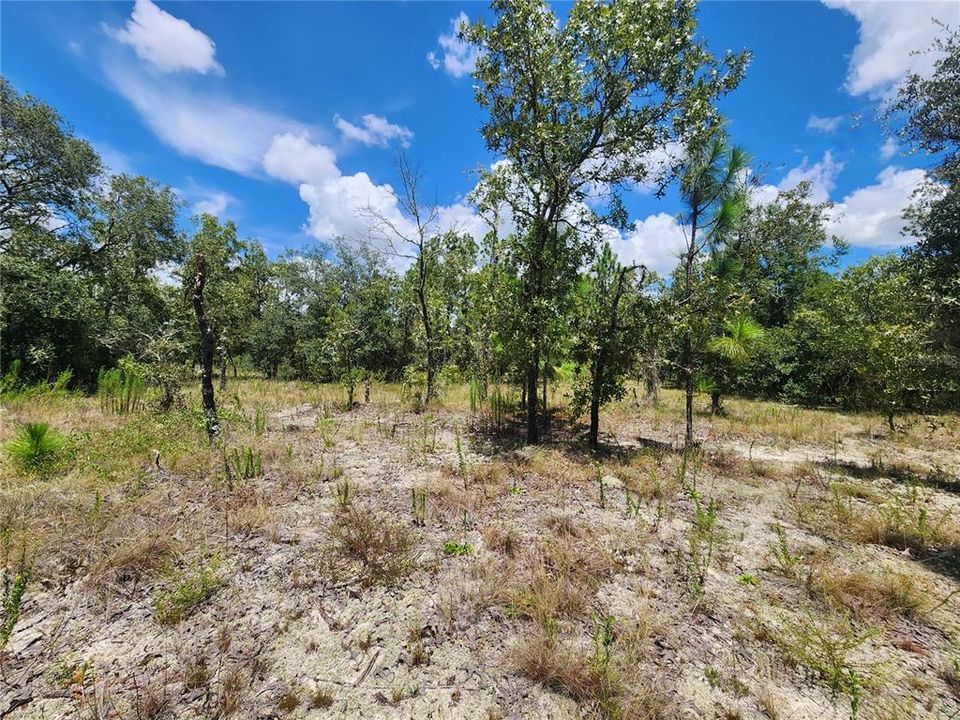 Recently Sold: $50,000 (2.00 acres)
