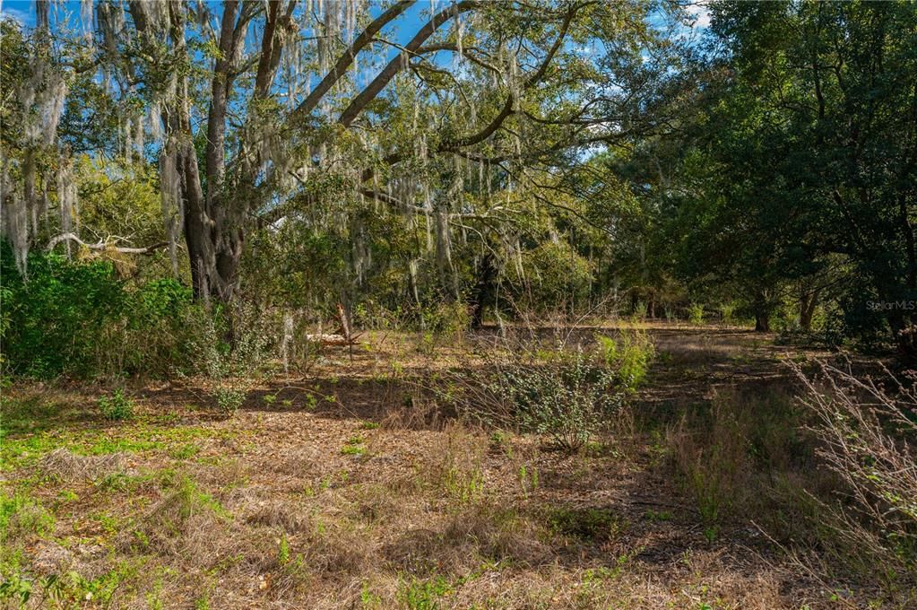 For Sale: $300,000 (7.19 acres)