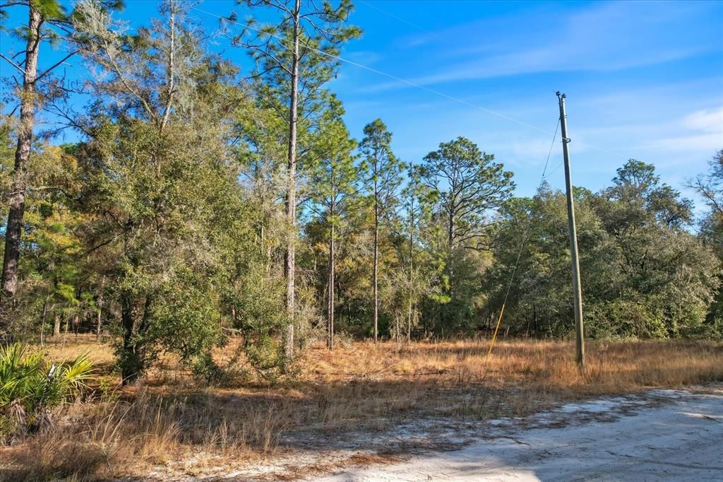 Recently Sold: $100,000 (3.04 acres)