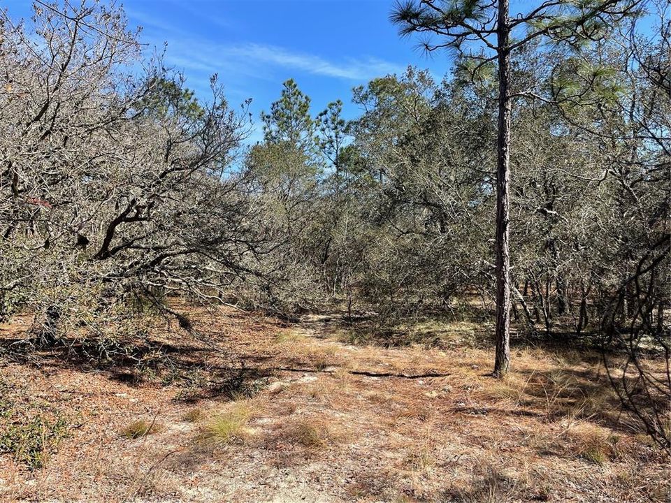 For Sale: $124,900 (6.13 acres)