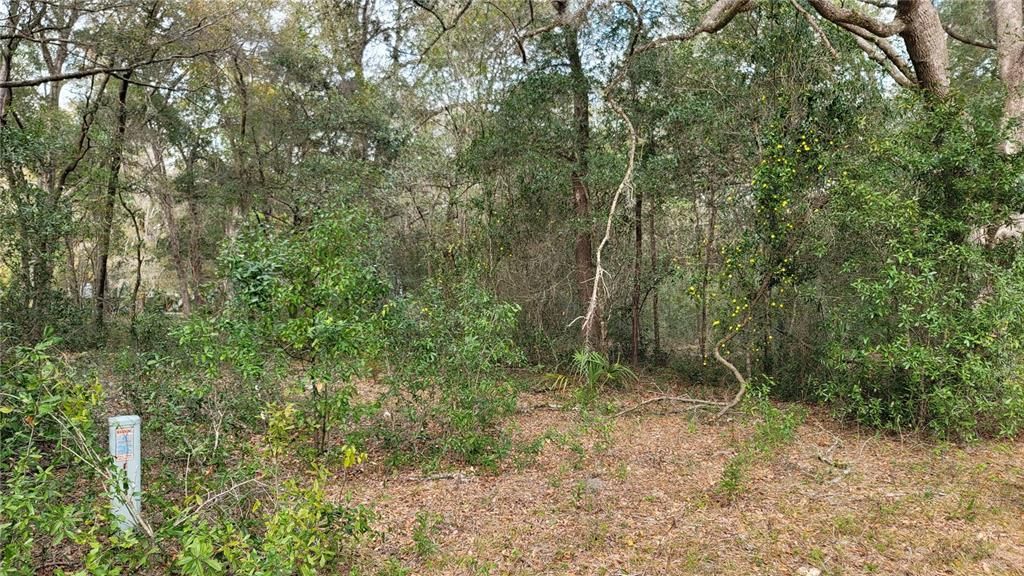 Recently Sold: $16,000 (0.25 acres)