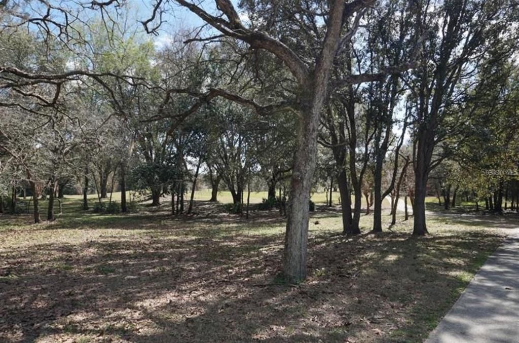 For Sale: $37,000 (0.37 acres)