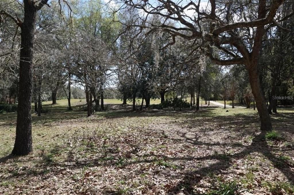 For Sale: $37,000 (0.37 acres)