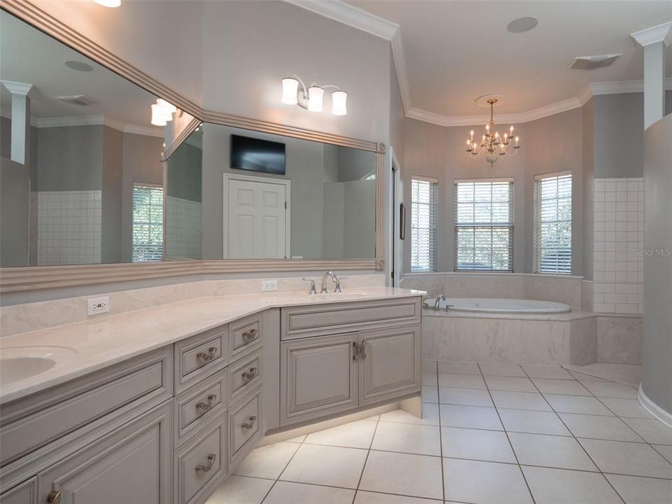 Owner's Bath has Tub as Well as a Huge Walk-in Shower