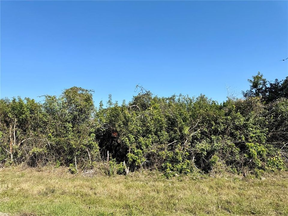 Active With Contract: $40,000 (0.46 acres)