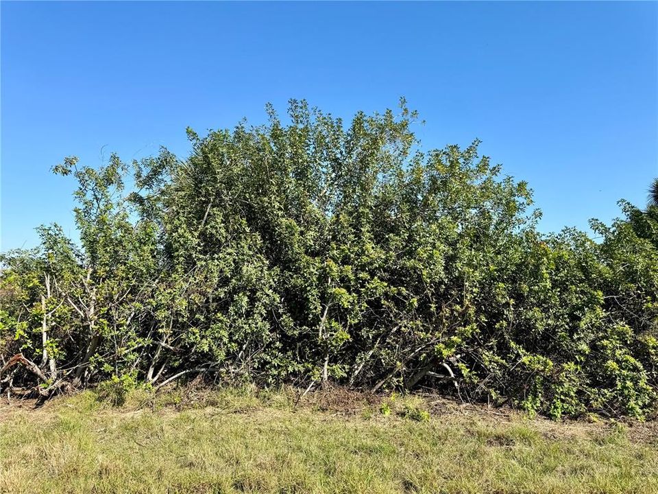 Active With Contract: $40,000 (0.46 acres)