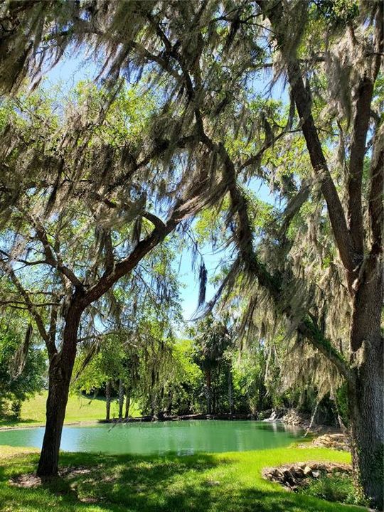 Community entrance lakes