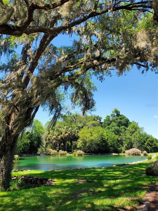 Community entrance lakes