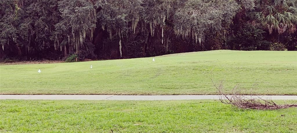 3 golf courses and a driving range are available on The Plantation at Leesburg for golf enthusiasts for a reasonable fee