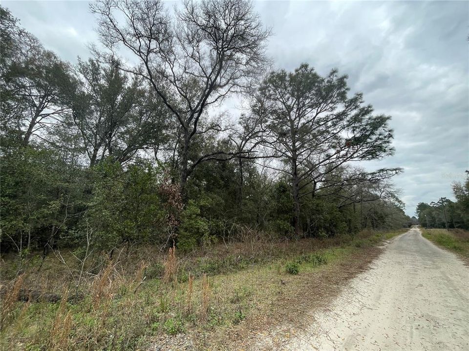 Recently Sold: $47,500 (1.16 acres)