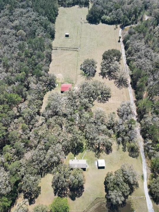 overview of the 11.4 acres