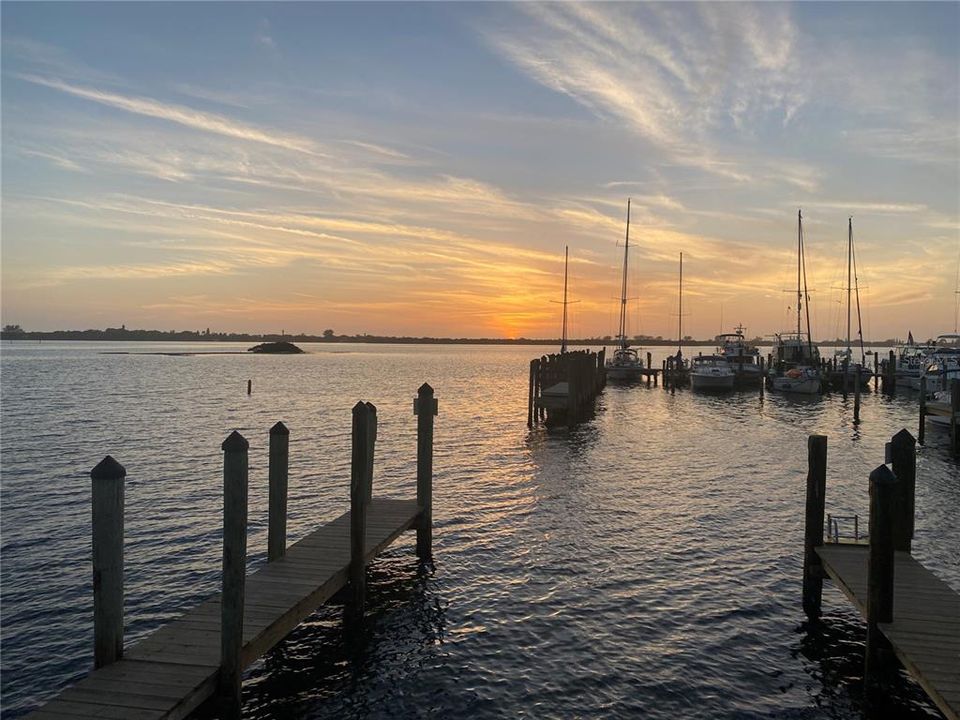 Local Marina Sunset