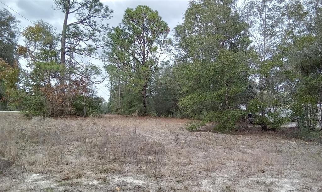 Active With Contract: $18,900 (0.22 acres)