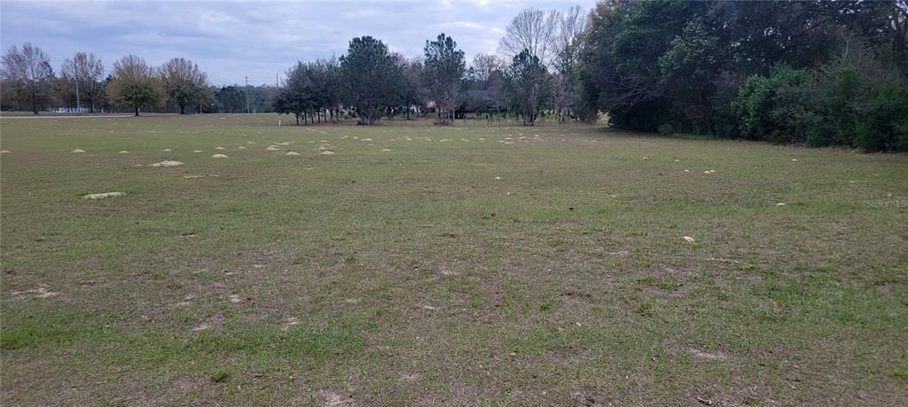 Active With Contract: $49,900 (1.01 acres)