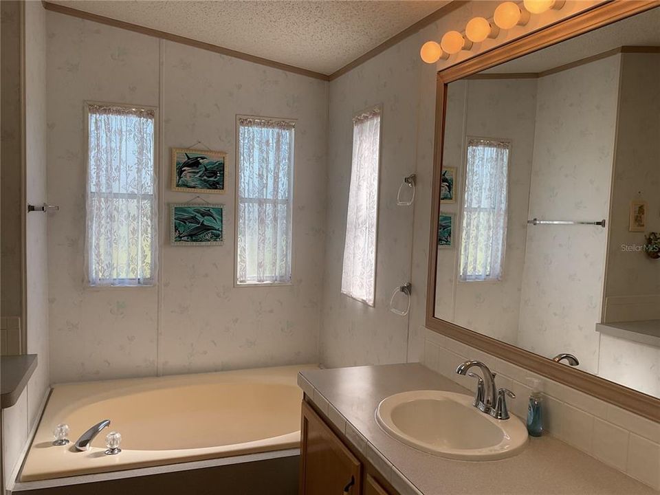 primary bathroom, w/ skylight, closets, tub, makeup vanity and walk in shower