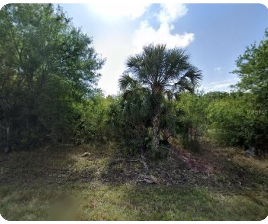 For Sale: $20,000 (0.18 acres)