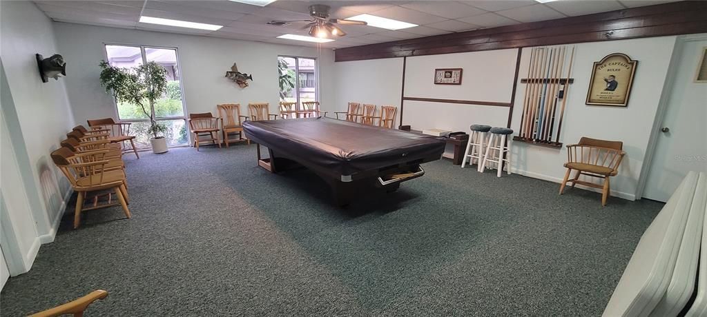 POOL TABLE AREA