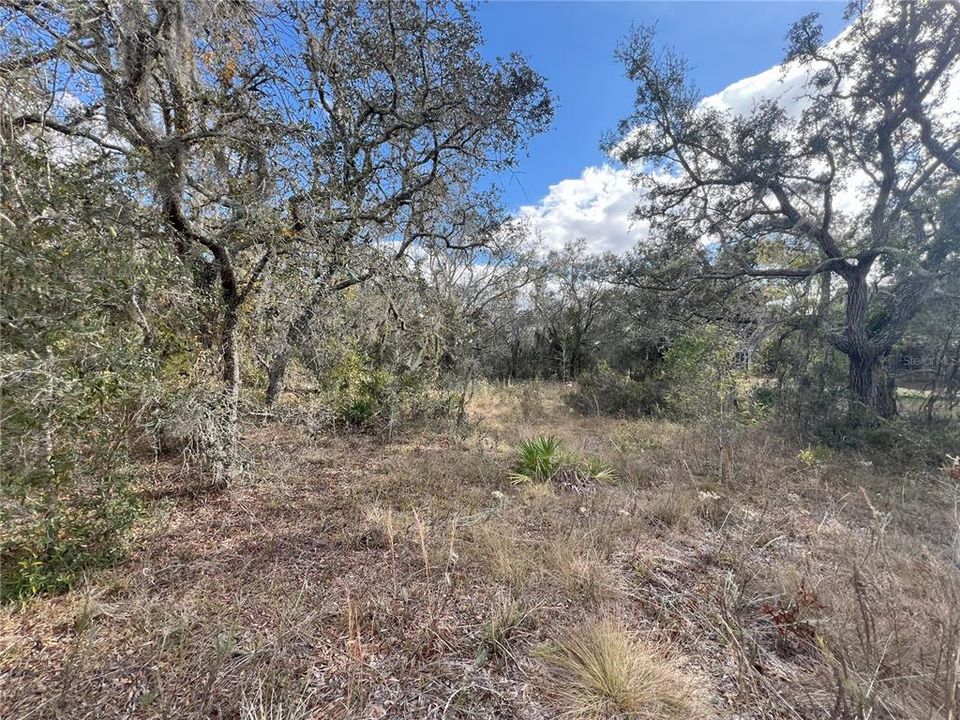 最近售出: $80,000 (1.10 acres)