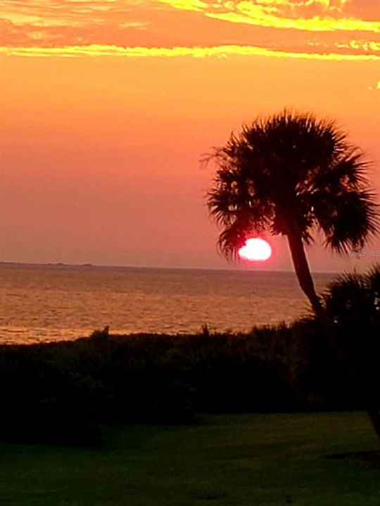 Sunset view from the balcony