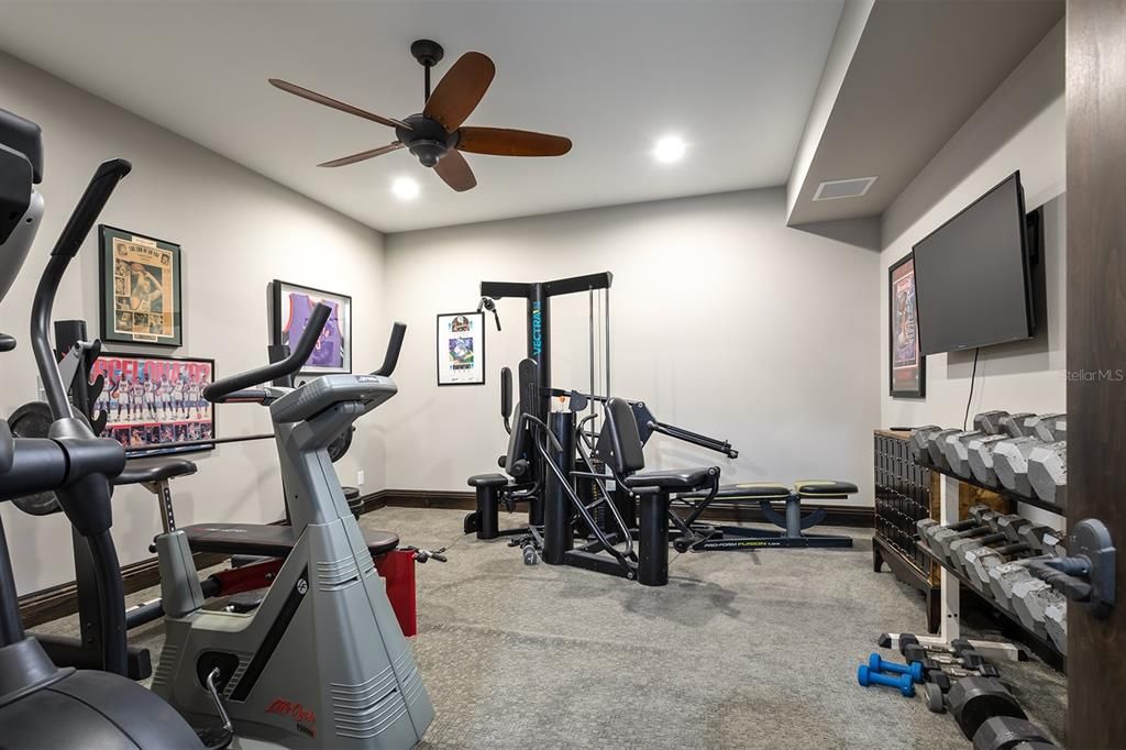 Downstairs Gym