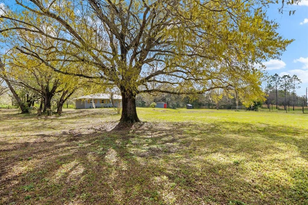 For Sale: $669,999 (4 beds, 2 baths, 1288 Square Feet)