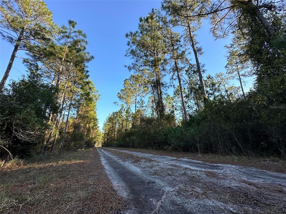 Recently Sold: $7,950 (0.23 acres)