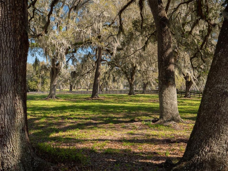 На продажу: $1,352,000 (16.00 acres)