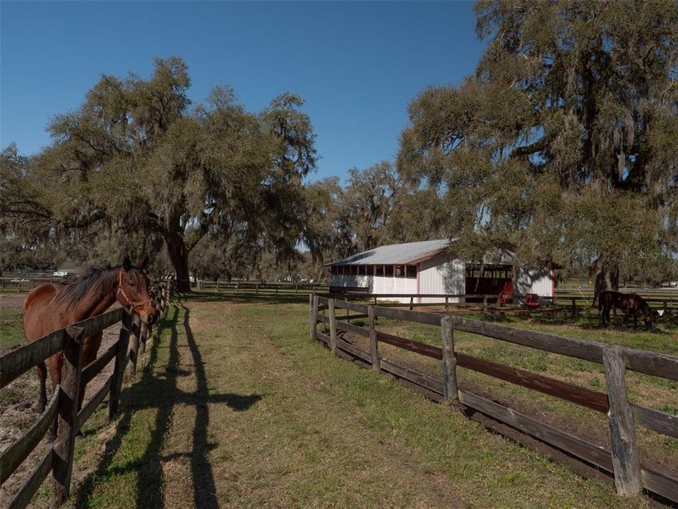 For Sale: $1,352,000 (16.00 acres)