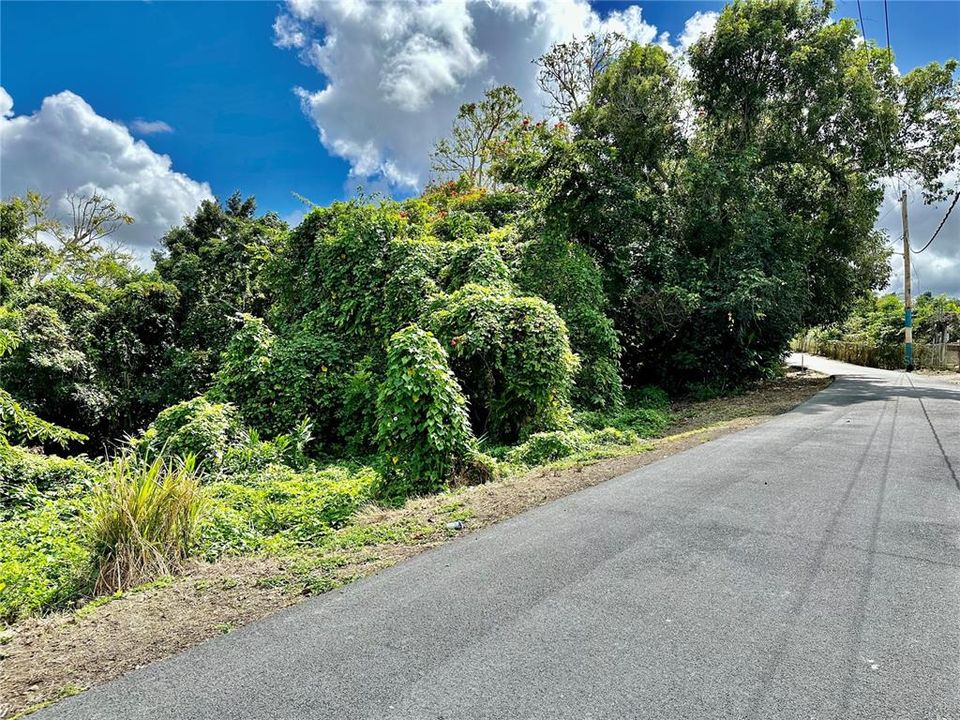 En Venta: $96,000 (7.34 acres)