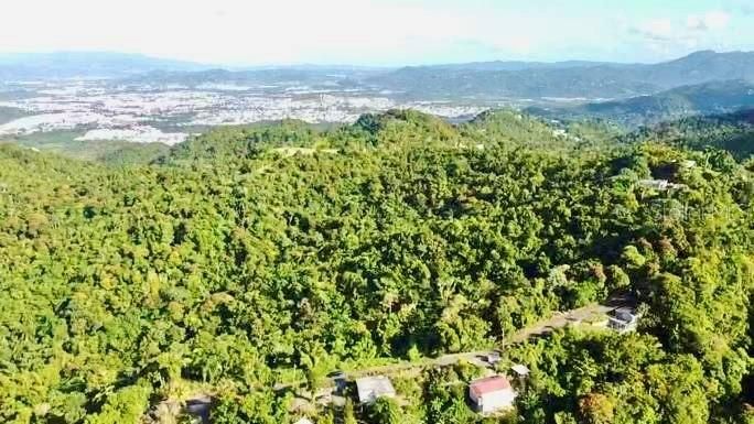 En Venta: $96,000 (7.34 acres)