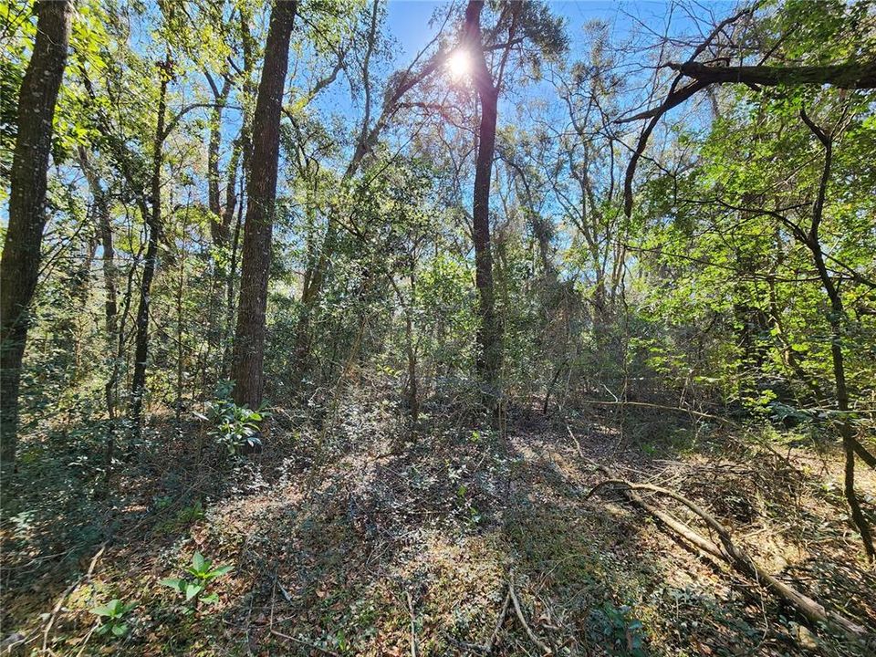 Recently Sold: $30,000 (0.92 acres)