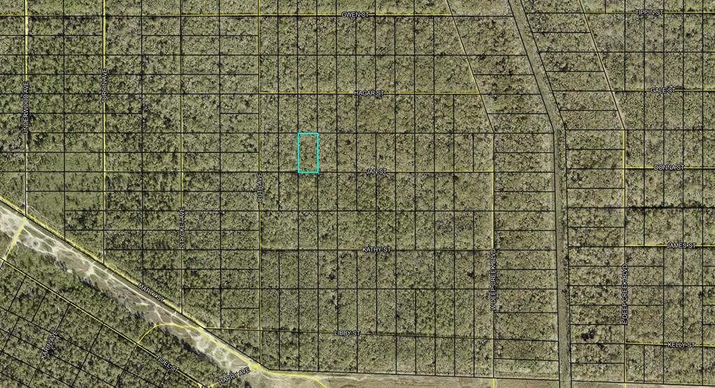 For Sale: $12,900 (1.14 acres)