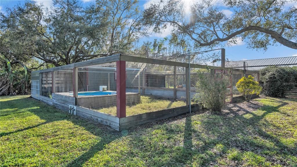 Duck pen half w/pool and water connected