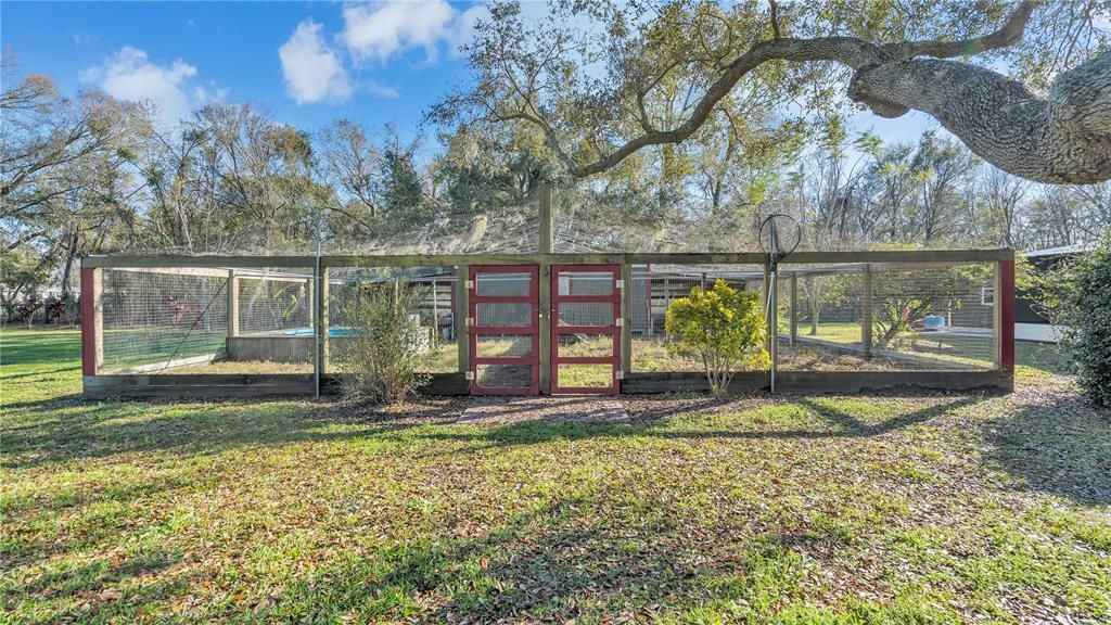 Chicken & duck enclosed pen