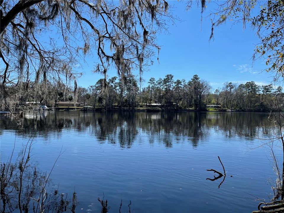 Nearby Suwannee river