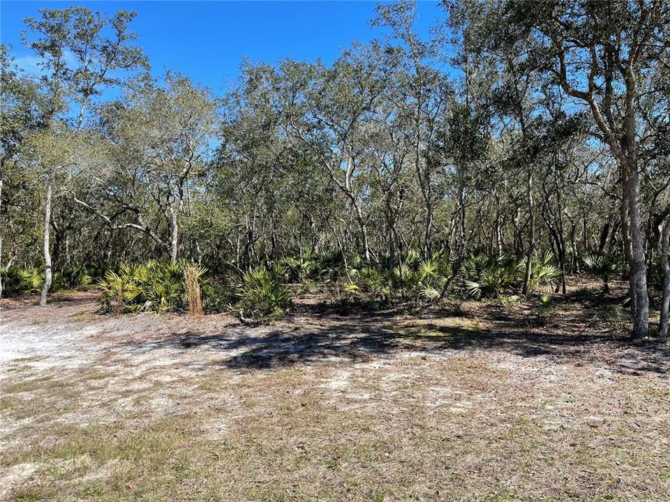 Recently Sold: $39,900 (1.00 acres)