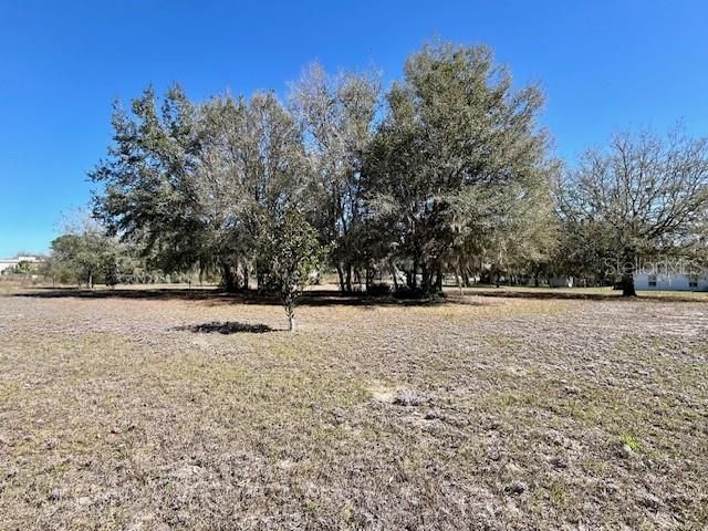 Recently Sold: $70,000 (1.00 acres)
