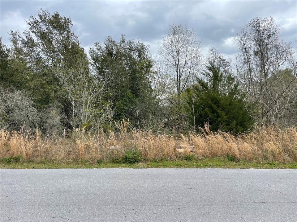 Recently Sold: $45,000 (0.29 acres)