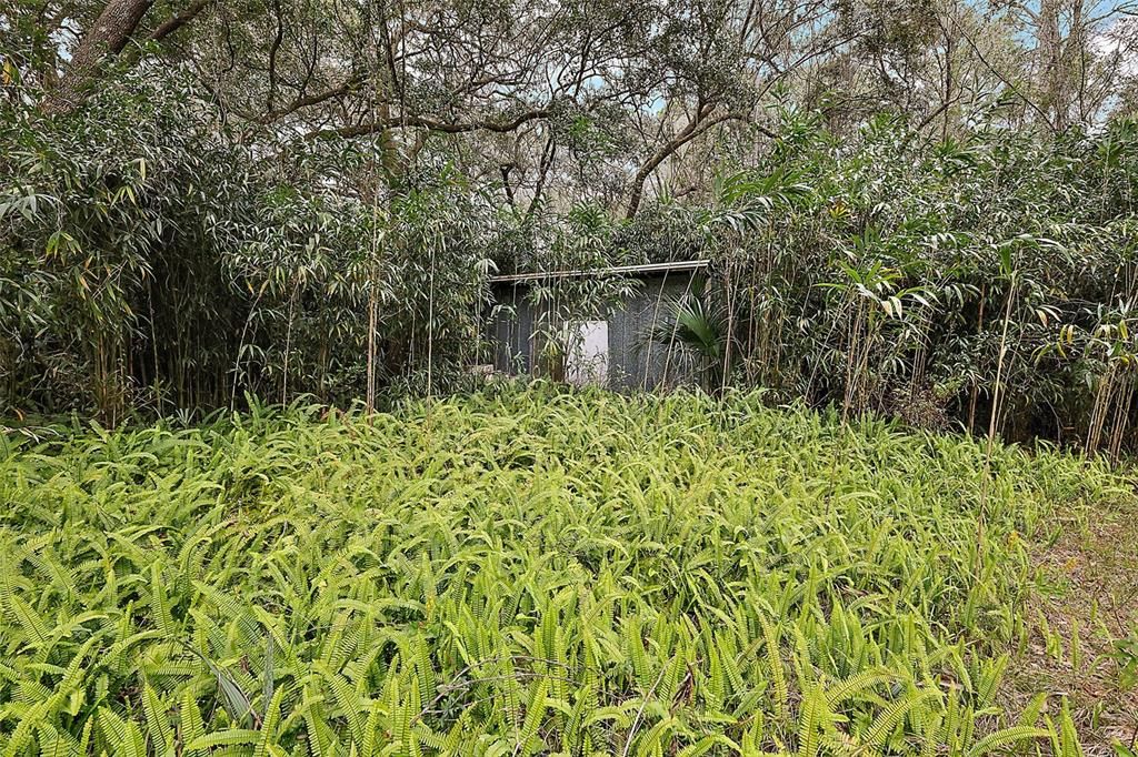 shed on property