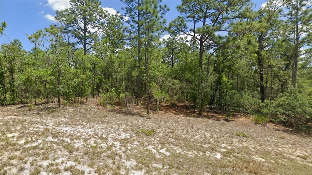 Recently Sold: $14,000 (0.23 acres)