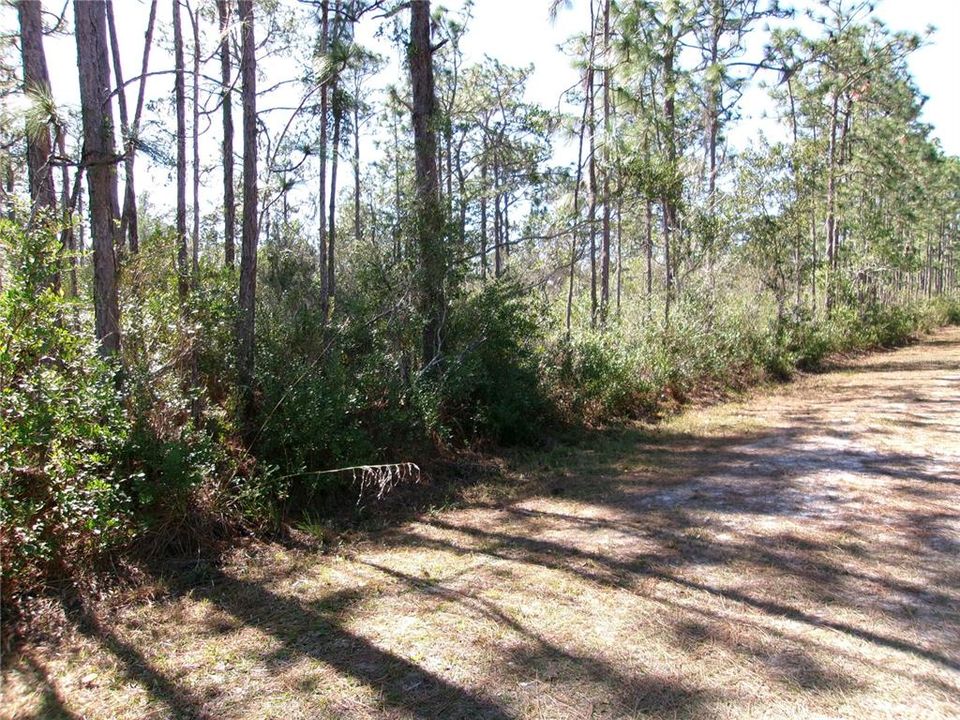 Recently Sold: $13,500 (0.50 acres)