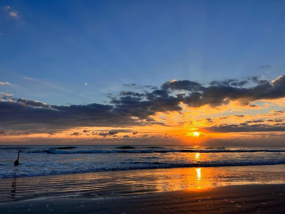 Sunrise over the beach at Island Crowne in Daytona Beach