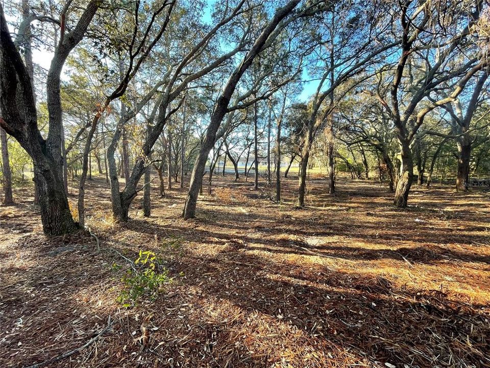 For Sale: $104,999 (1.10 acres)