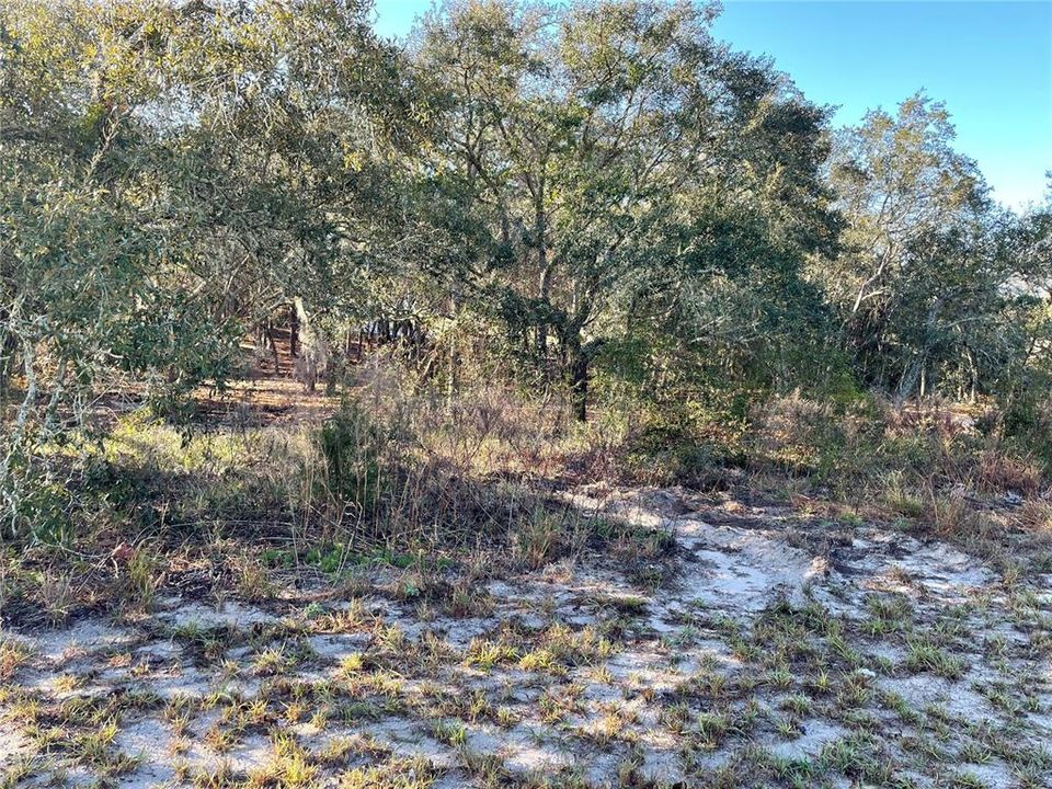 For Sale: $104,999 (1.10 acres)