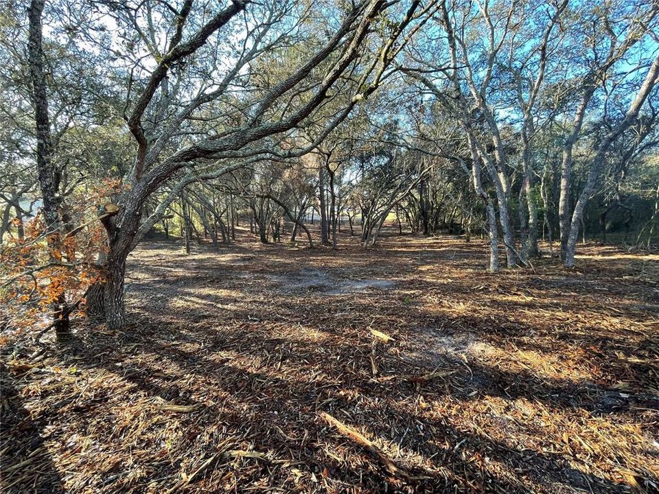 For Sale: $104,999 (1.10 acres)