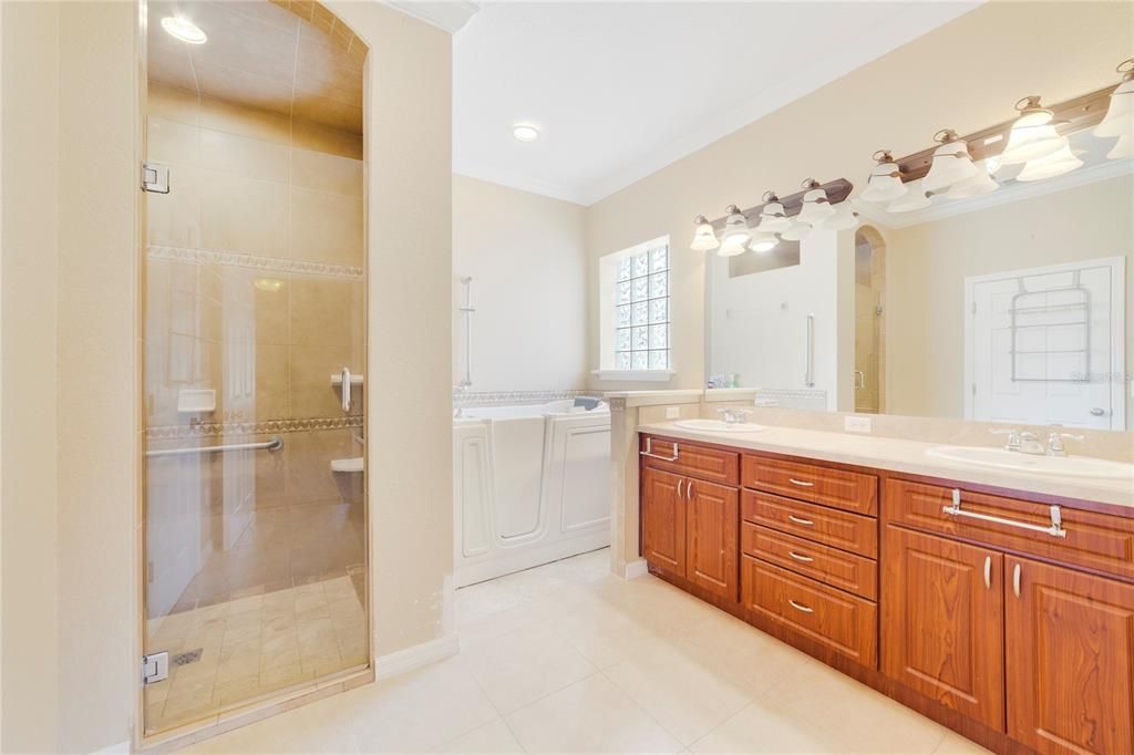 Master Bath with Walk-In Tub and Shower
