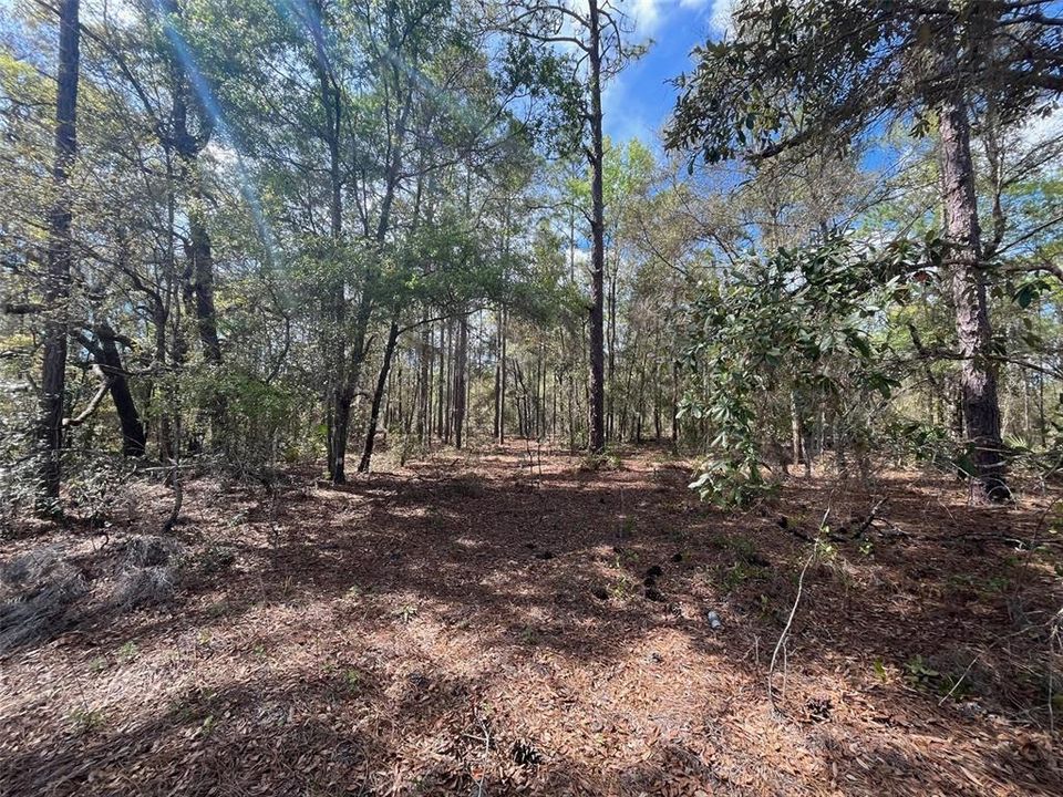 Active With Contract: $14,700 (0.43 acres)
